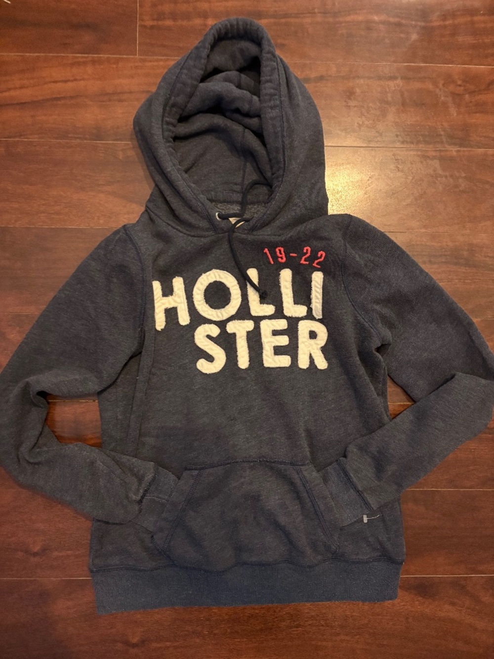 vintage hollister hoodie